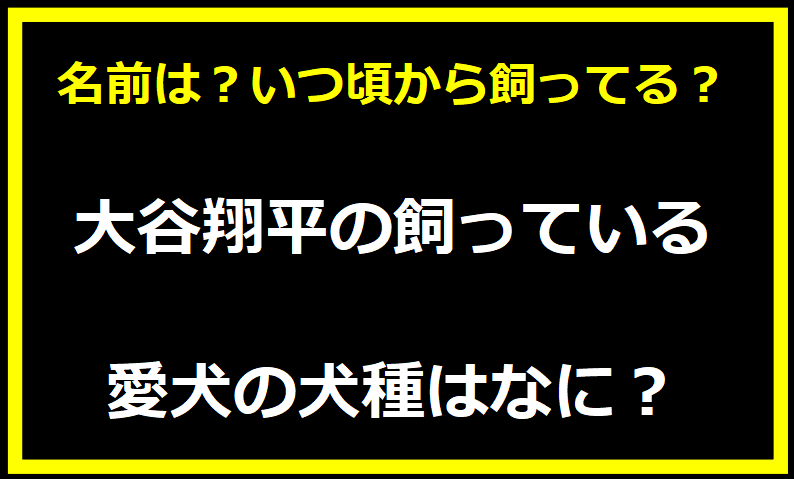 大谷翔平の飼っている愛犬の犬種はなに？名前は？いつ頃から飼ってる？