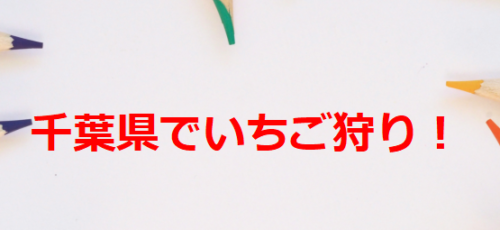 千葉県でいちご狩り！