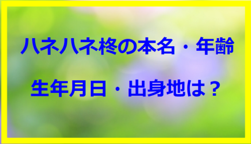 ハネハネ柊の本名・年齢や生年月日・出身地は？