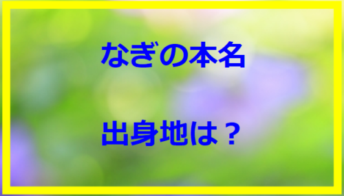 なぎの本名・出身地は？