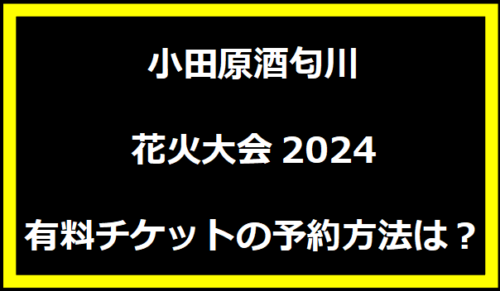 小田原酒匂川花火大会2024有料チケットの予約方法は？