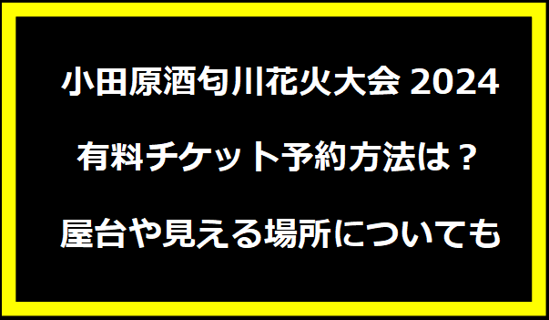 小田原酒匂川花火大会2024有料チケット予約方法は？屋台や見える場所についても