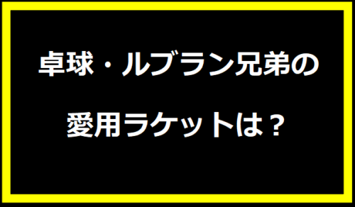 ルブラン兄弟・愛用ラケットは？