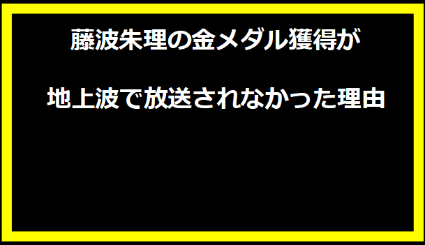 藤波朱理の金メダル獲得が地上波で放送されなかった理由