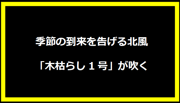 季節の到来を告げる北風「木枯らし1号」が吹く