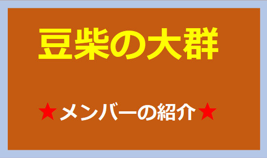 豆柴の大群のメンバーを紹介しています。