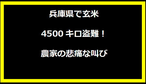 兵庫県で玄米4500キロ盗難！農家の悲痛な叫び