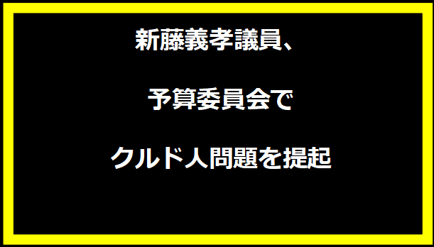 新藤義孝議員、予算委員会でクルド人問題を提起