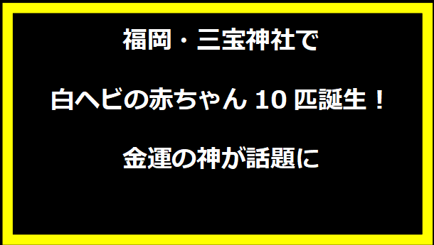 福岡・三宝神社で白ヘビの赤ちゃん10匹誕生！金運の神が話題に