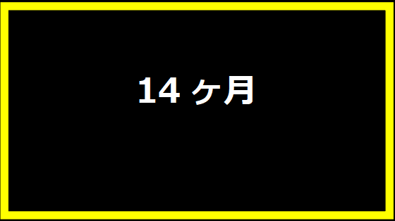 14ヶ月