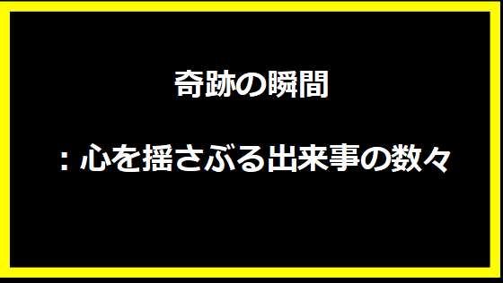 奇跡の瞬間：心を揺さぶる出来事の数々