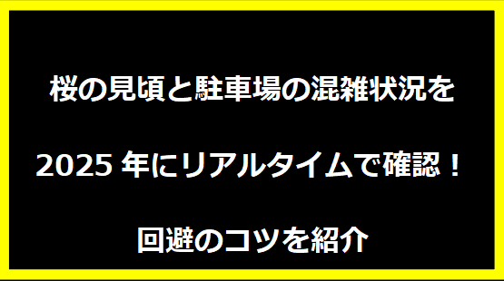 桜の見頃と駐車場の混雑状況を2025年にリアルタイムで確認！回避のコツを紹介