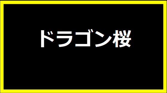 ドラゴン桜