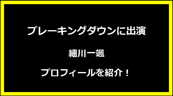 ブレーキングダウンに出場・細川一颯のプロフィールを紹介！
