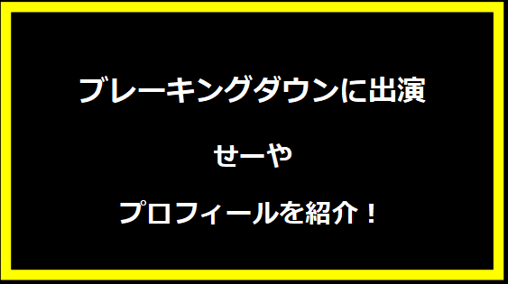 ブレーキングダウンに出場・せーやのプロフィールを紹介！