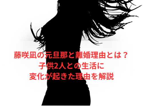 藤咲凪の元旦那と離婚理由とは?子供2人との生活に変化が起きた理由を解説