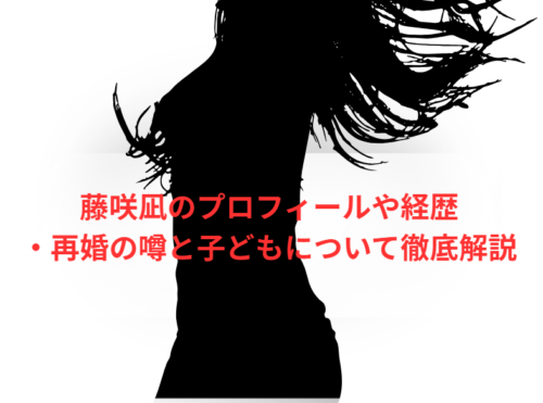 藤咲凪のプロフィールや経歴・再婚の噂と子どもについて徹底解説
