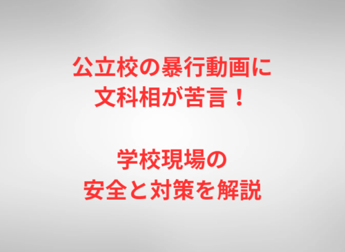 公立校の暴行動画に文科相が苦言！学校現場の安全と対策を解説