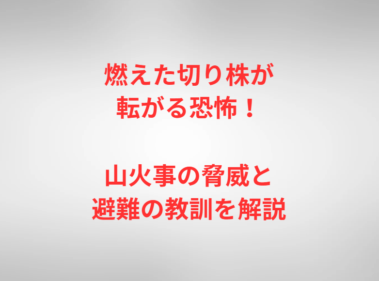 燃えた切り株が転がる恐怖！山火事の脅威と避難の教訓を解説
