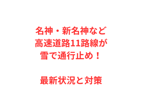 名神・新名神など高速道路11路線が雪で通行止め！最新状況と対策