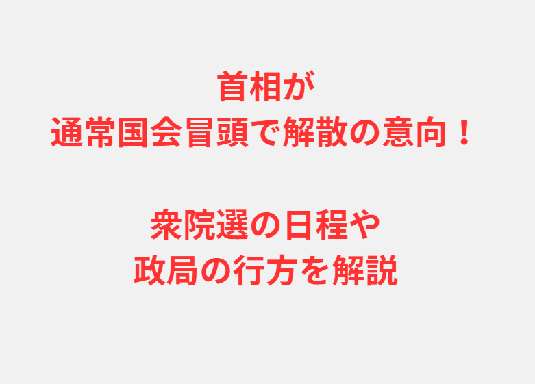 首相が通常国会冒頭で解散の意向！衆院選の日程や政局の行方を解説