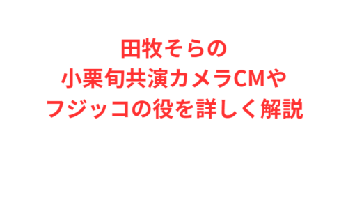 田牧そらの小栗旬共演カメラCMやフジッコの役を詳しく解説