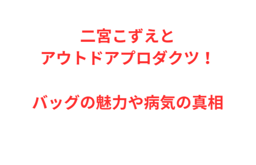 二宮こずえとアウトドアプロダクツ！バッグの魅力や病気の真相