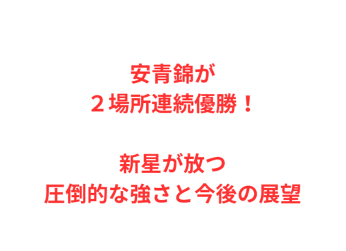 安青錦が２場所連続優勝！新星が放つ圧倒的な強さと今後の展望