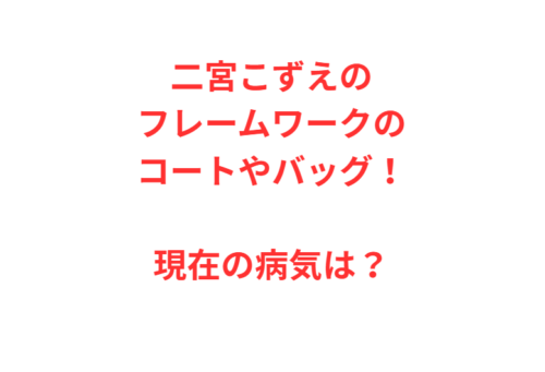 二宮こずえのフレームワークのコートやバッグ！現在の病気は？