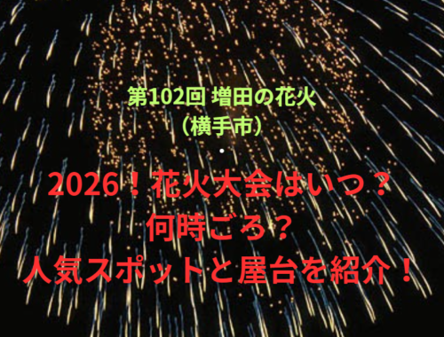 【第102回 増田の花火（横手市）】2026！花火大会はいつ・何時ごろ？人気スポットや屋台も紹介！