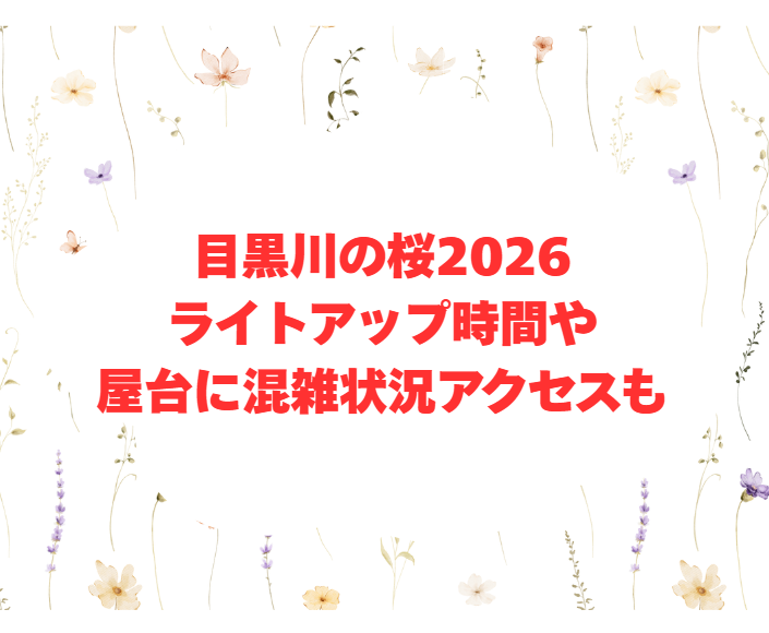目黒川の桜2026ライトアップ時間や屋台に混雑状況アクセスも