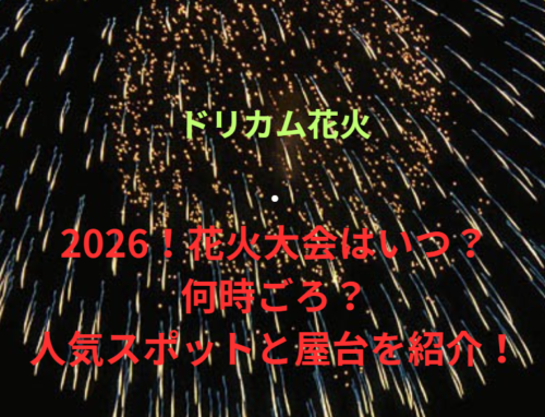 【ドリカム花火】2026！花火大会はいつ・何時ごろ？人気スポットや屋台も紹介！