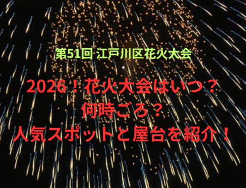 【第51回 江戸川区花火大会】2026！花火大会はいつ・何時ごろ？人気スポットや屋台も紹介！