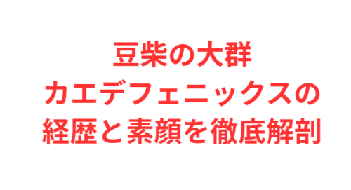 豆柴の大群カエデフェニックスの経歴と素顔を徹底解剖