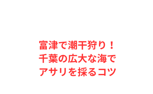 富津で潮干狩り！千葉の広大な海でアサリを採るコツ