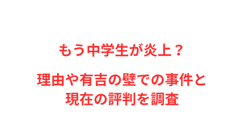 もう中学生が炎上？理由や有吉の壁での事件と現在の評判を調査