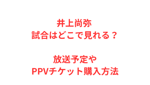 井上尚弥 試合はどこで見れる？放送予定やPPVチケット購入方法