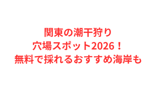 関東の潮干狩り穴場スポット2026！無料で採れるおすすめ海岸も