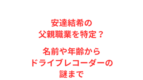 安達結希の父親職業を特定？名前や年齢からドライブレコーダーの謎まで