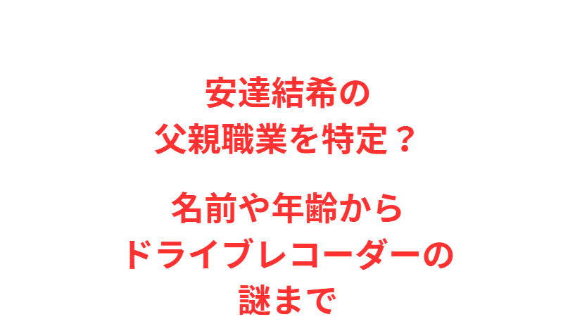 安達結希の父親職業を特定？名前や年齢からドライブレコーダーの謎まで