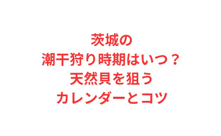 茨城の潮干狩り時期はいつ？天然貝を狙うカレンダーとコツ