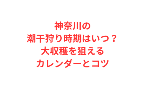 神奈川の潮干狩り時期はいつ？大収穫を狙えるカレンダーとコツ