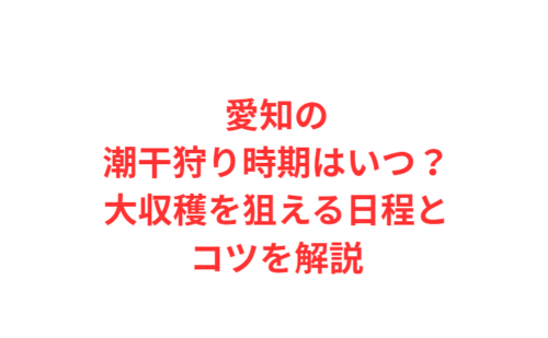 愛知の潮干狩り時期はいつ？大収穫を狙える日程とコツを解説