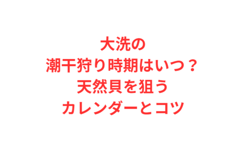 大洗の潮干狩り時期はいつ？天然貝を狙うカレンダーとコツ