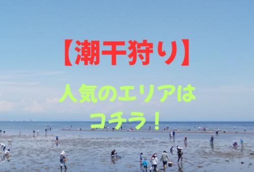 人気のある潮干狩りエリアはコチラ！