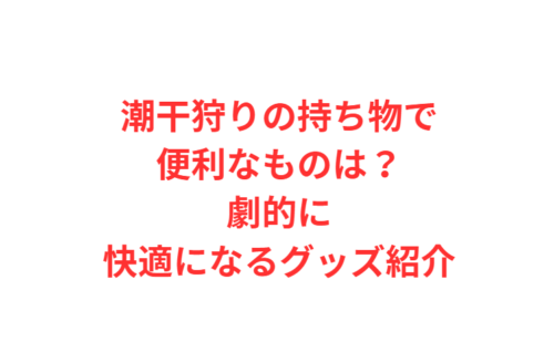 潮干狩りの持ち物で便利なものは？劇的に快適になるグッズ紹介