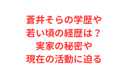 蒼井そらの学歴や若い頃の経歴は？実家の秘密や現在の活動に迫る