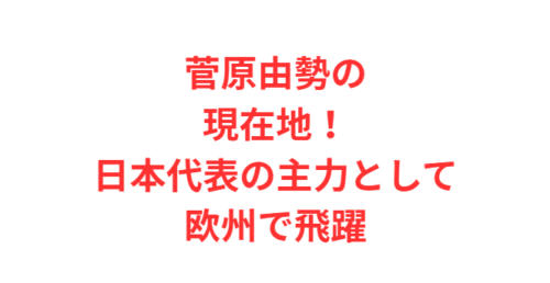 菅原由勢の現在地！日本代表の主力として欧州で飛躍