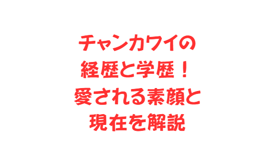 チャンカワイの経歴と学歴！愛される素顔と現在を解説