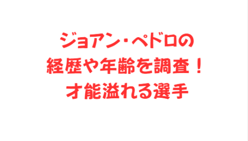 ジョアン・ペドロの経歴や年齢を調査！才能溢れる選手